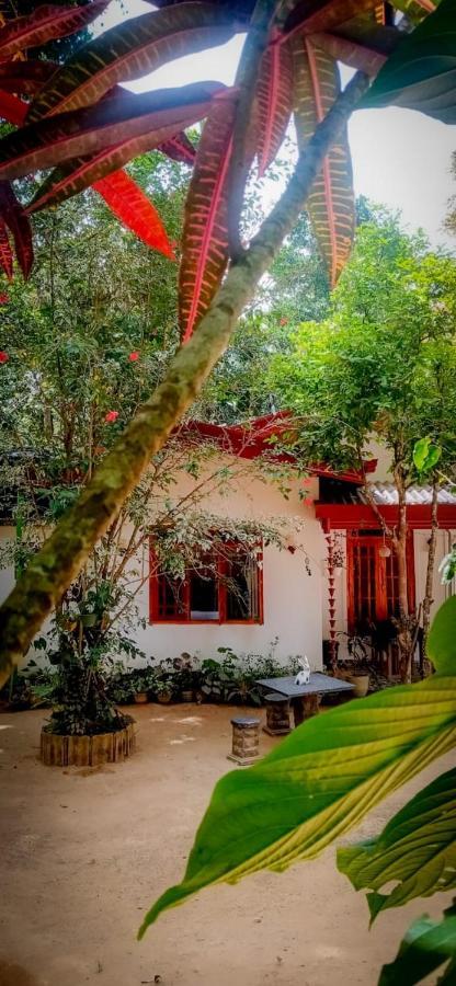 Ella Jungle Inn Homestay And Tree House Kültér fotó