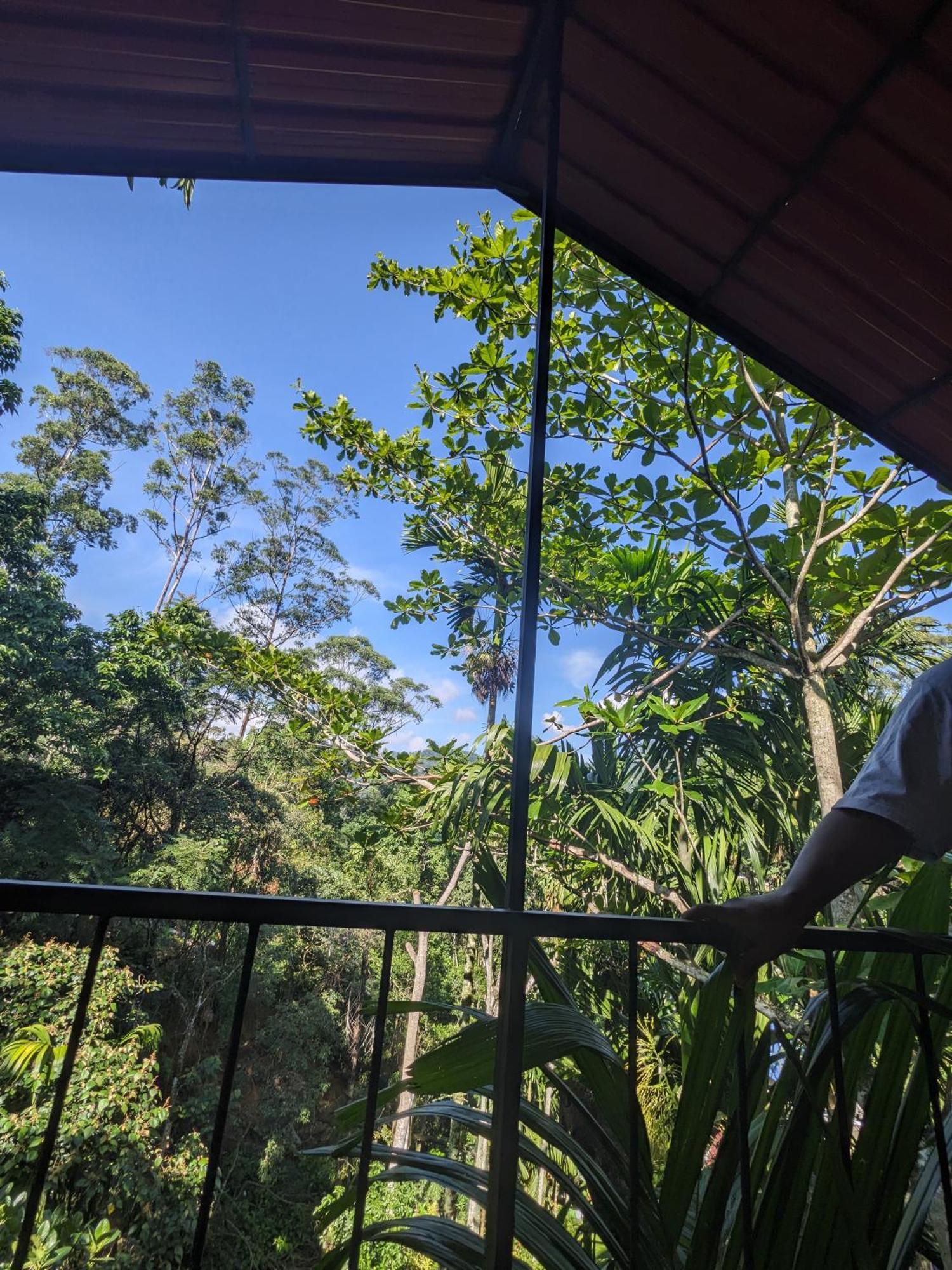 Ella Jungle Inn Homestay And Tree House Kültér fotó