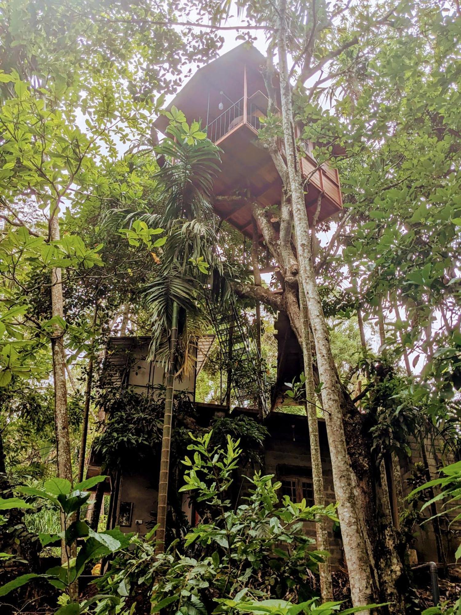 Ella Jungle Inn Homestay And Tree House Kültér fotó