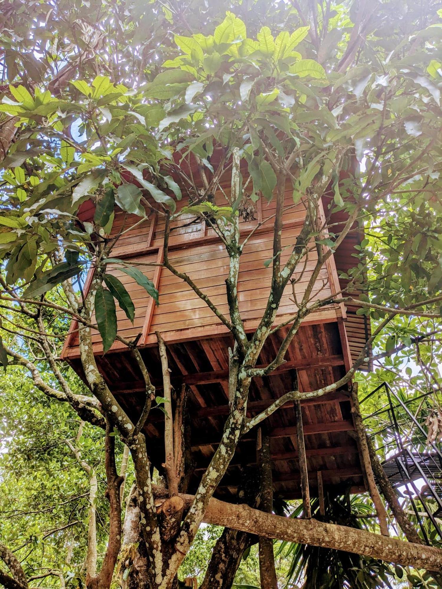 Ella Jungle Inn Homestay And Tree House Kültér fotó