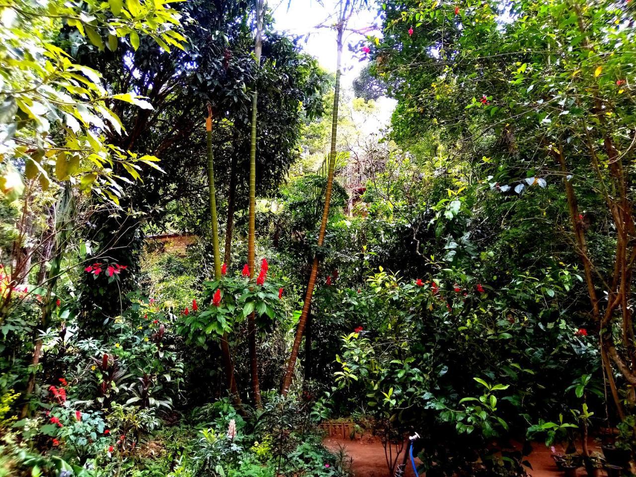 Ella Jungle Inn Homestay And Tree House Kültér fotó