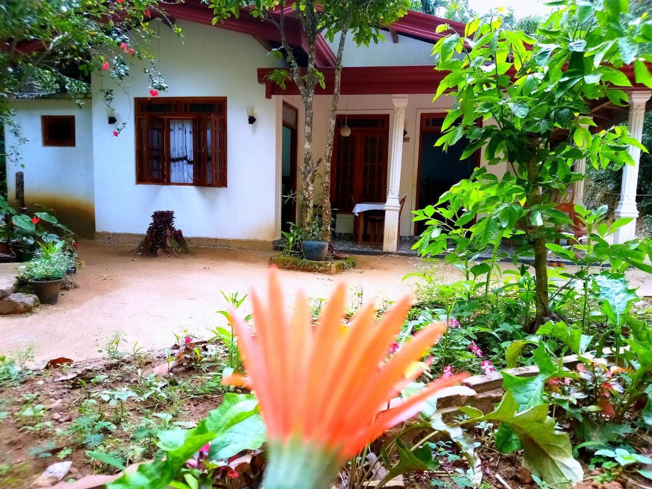 Ella Jungle Inn Homestay And Tree House Kültér fotó