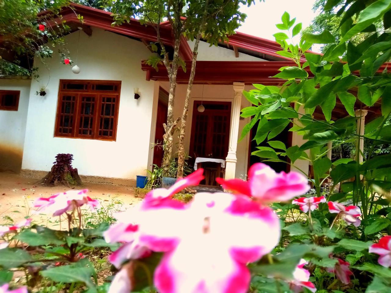 Ella Jungle Inn Homestay And Tree House Kültér fotó
