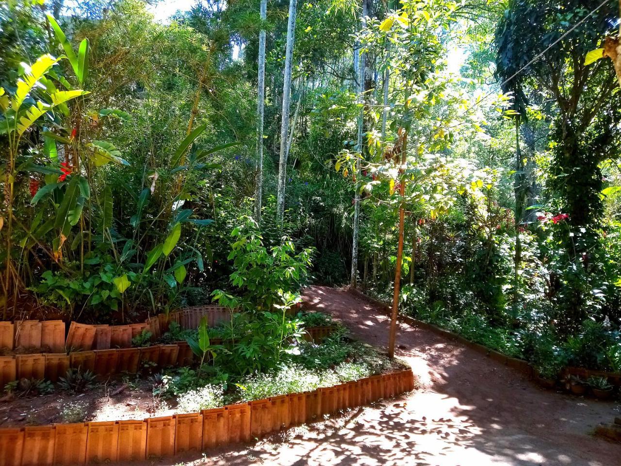 Ella Jungle Inn Homestay And Tree House Kültér fotó