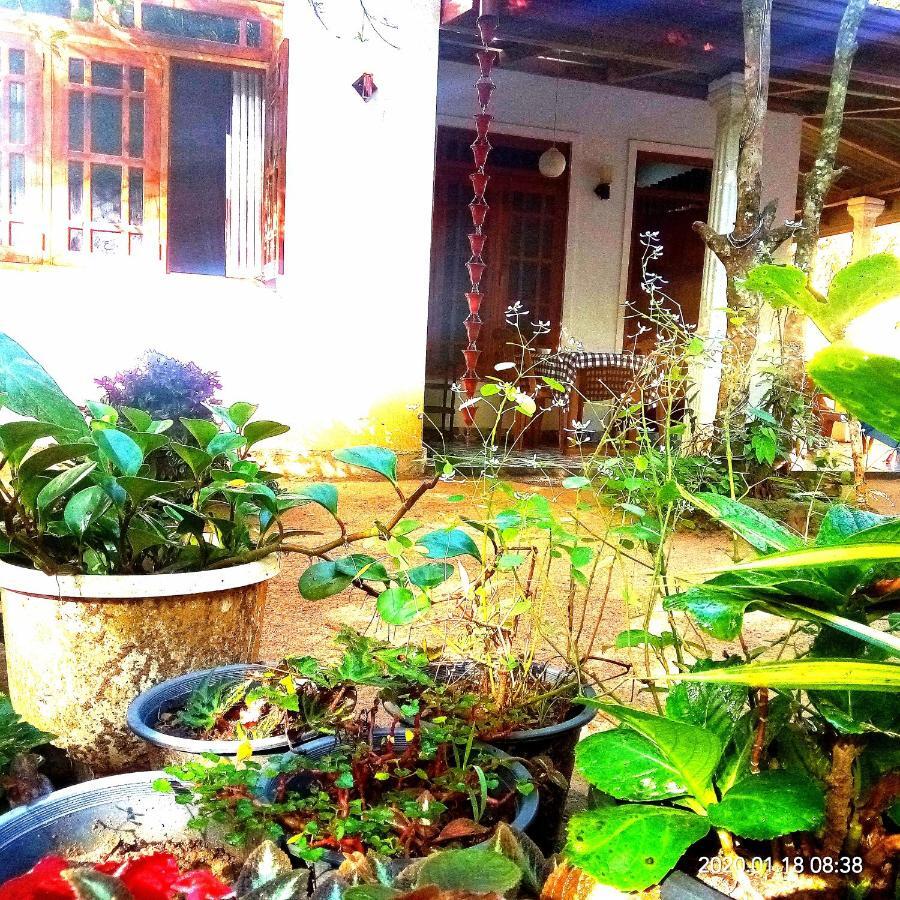 Ella Jungle Inn Homestay And Tree House Kültér fotó